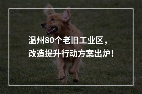温州80个老旧工业区，改造提升行动方案出炉！