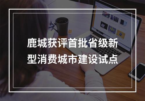 鹿城获评首批省级新型消费城市建设试点
