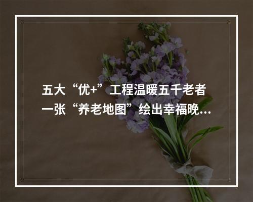 五大“优+”工程温暖五千老者 一张“养老地图”绘出幸福晚年