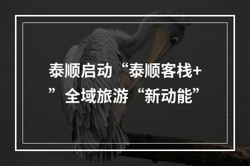 泰顺启动“泰顺客栈+”全域旅游“新动能”