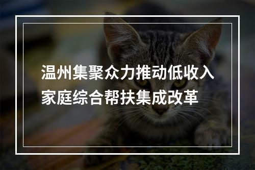 温州集聚众力推动低收入家庭综合帮扶集成改革