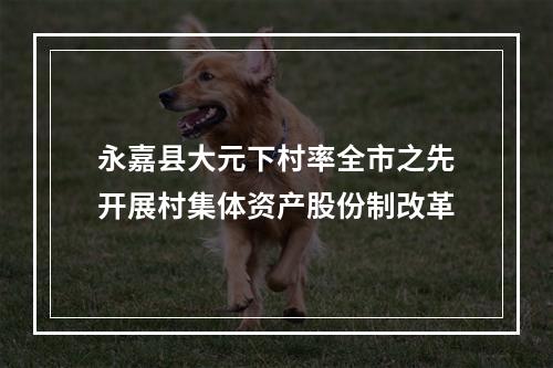 永嘉县大元下村率全市之先开展村集体资产股份制改革