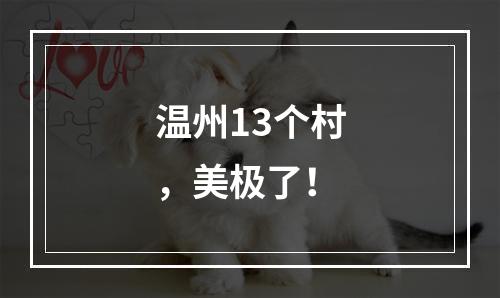 温州13个村，美极了！