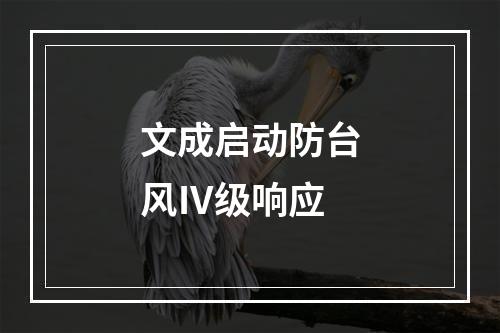 文成启动防台风Ⅳ级响应