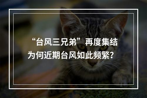 “台风三兄弟”再度集结 为何近期台风如此频繁？