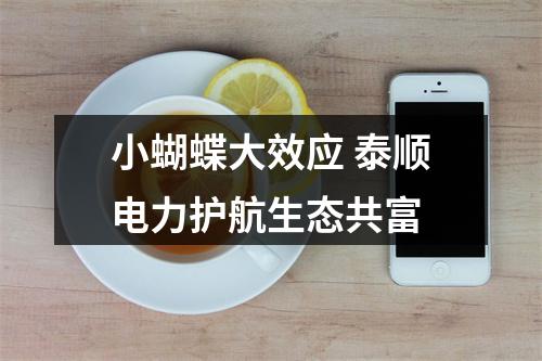 小蝴蝶大效应 泰顺电力护航生态共富