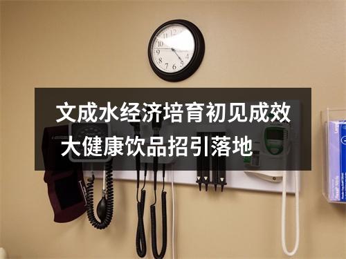 文成水经济培育初见成效 大健康饮品招引落地