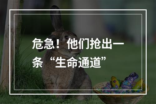 危急！他们抢出一条“生命通道”