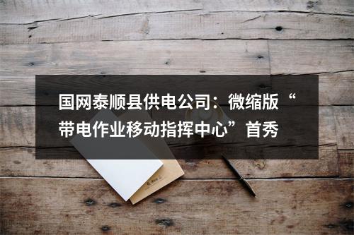 国网泰顺县供电公司：微缩版“带电作业移动指挥中心”首秀