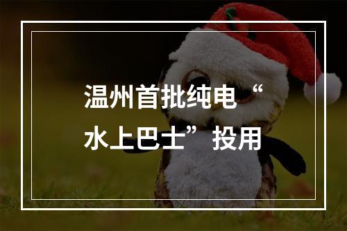 温州首批纯电“水上巴士”投用
