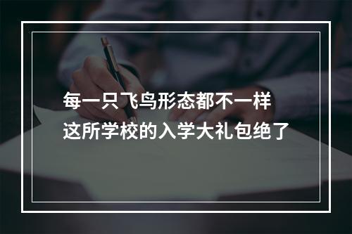 每一只飞鸟形态都不一样 这所学校的入学大礼包绝了