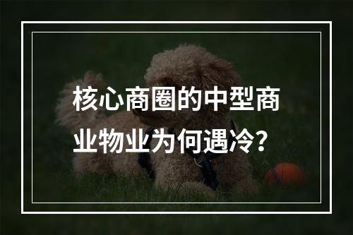 核心商圈的中型商业物业为何遇冷？