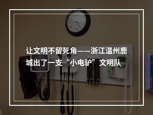 让文明不留死角——浙江温州鹿城出了一支“小电驴”文明队