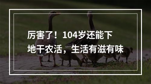 厉害了！104岁还能下地干农活，生活有滋有味