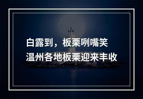 白露到，板栗咧嘴笑 温州各地板栗迎来丰收
