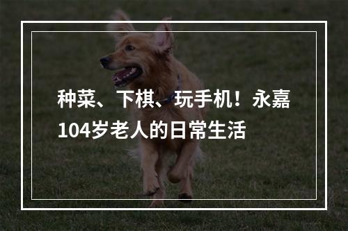 种菜、下棋、玩手机！永嘉104岁老人的日常生活