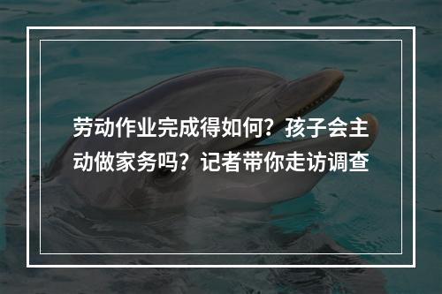 劳动作业完成得如何？孩子会主动做家务吗？记者带你走访调查
