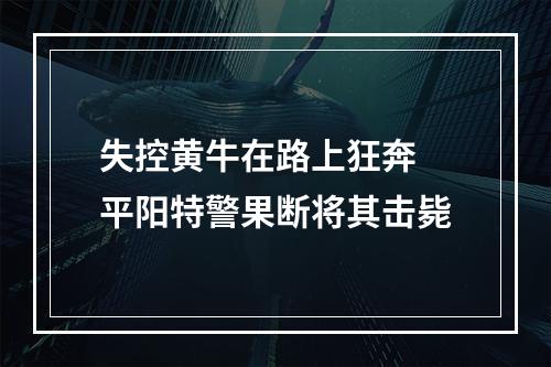 失控黄牛在路上狂奔 平阳特警果断将其击毙