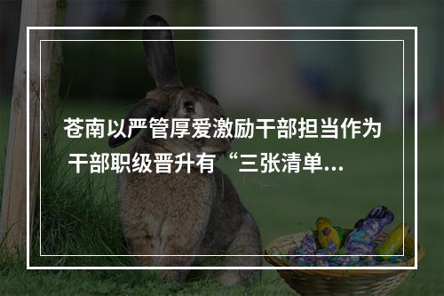 苍南以严管厚爱激励干部担当作为 干部职级晋升有“三张清单”