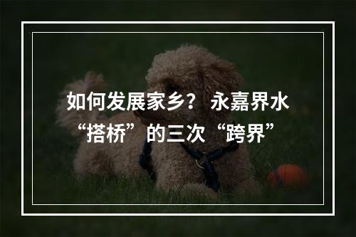 如何发展家乡？ 永嘉界水“搭桥”的三次“跨界”