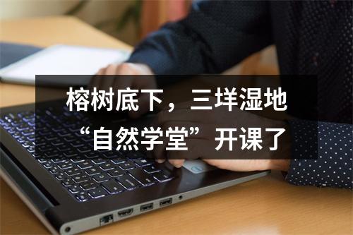 榕树底下，三垟湿地“自然学堂”开课了