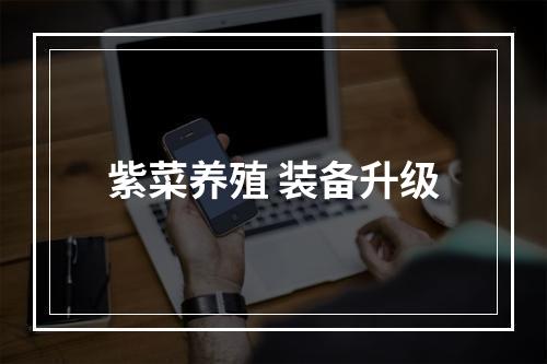 紫菜养殖 装备升级