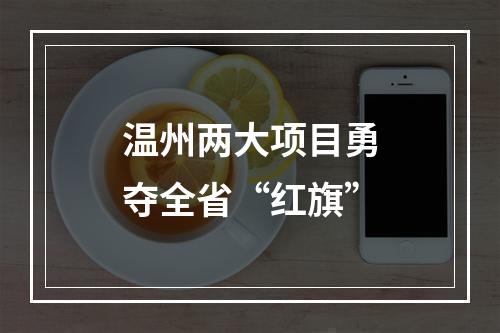 温州两大项目勇夺全省“红旗”