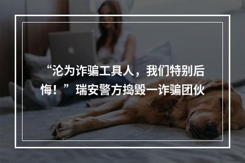 “沦为诈骗工具人，我们特别后悔！”瑞安警方捣毁一诈骗团伙