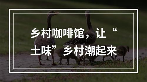 乡村咖啡馆，让“土味”乡村潮起来