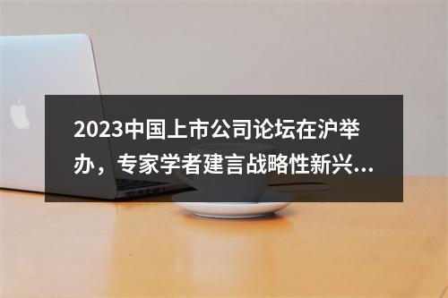 2023中国上市公司论坛在沪举办，专家学者建言战略性新兴产业和上市公司治理