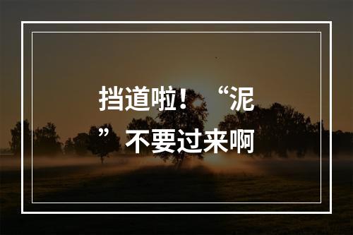 挡道啦！“泥”不要过来啊