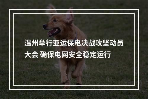 温州举行亚运保电决战攻坚动员大会 确保电网安全稳定运行