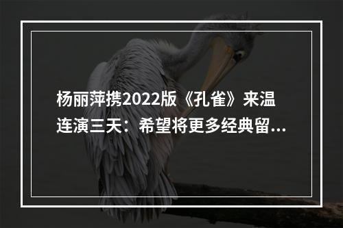 杨丽萍携2022版《孔雀》来温连演三天：希望将更多经典留在温州