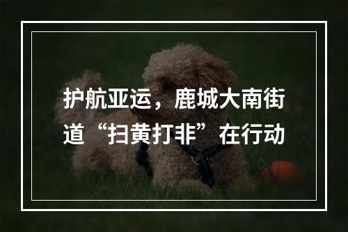 护航亚运，鹿城大南街道“扫黄打非”在行动