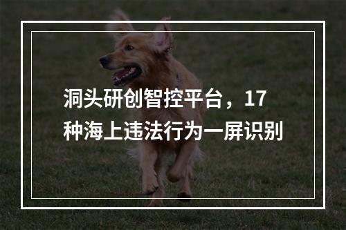 洞头研创智控平台，17种海上违法行为一屏识别