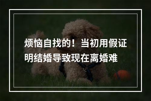 烦恼自找的！当初用假证明结婚导致现在离婚难