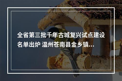 全省第三批千年古城复兴试点建设名单出炉 温州苍南县金乡镇入选