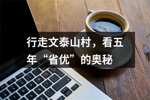 行走文泰山村，看五年“省优”的奥秘