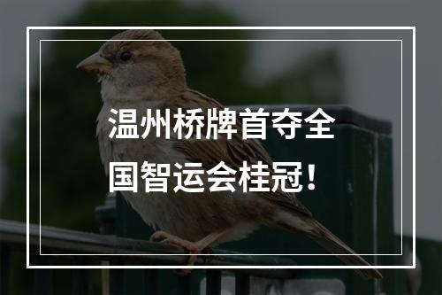 温州桥牌首夺全国智运会桂冠！