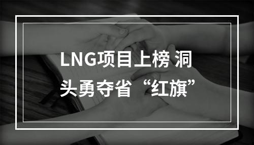 LNG项目上榜 洞头勇夺省“红旗”