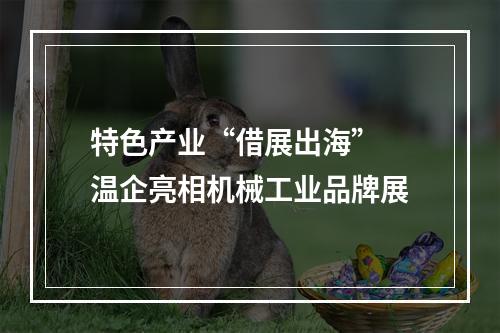特色产业“借展出海” 温企亮相机械工业品牌展