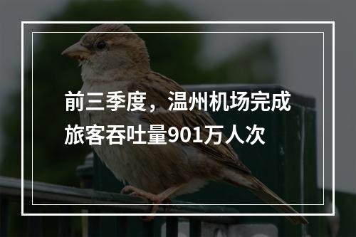 前三季度，温州机场完成旅客吞吐量901万人次