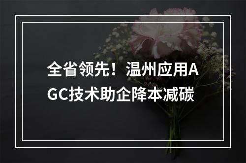 全省领先！温州应用AGC技术助企降本减碳