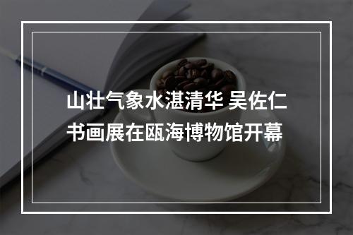 山壮气象水湛清华 吴佐仁书画展在瓯海博物馆开幕