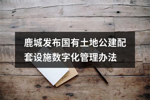 鹿城发布国有土地公建配套设施数字化管理办法