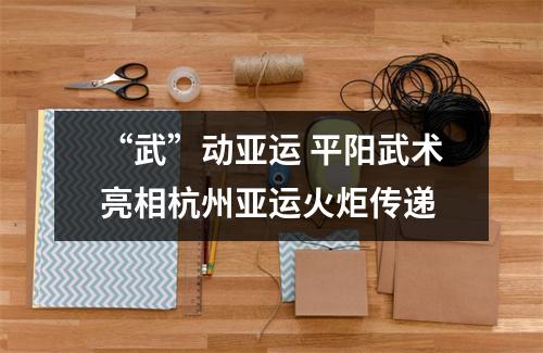 “武”动亚运 平阳武术亮相杭州亚运火炬传递