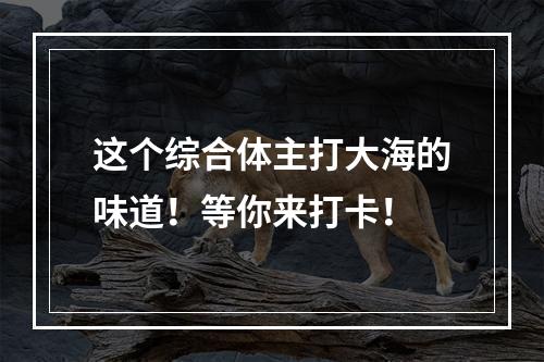 这个综合体主打大海的味道！等你来打卡！