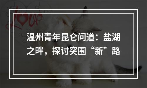 温州青年昆仑问道：盐湖之畔，探讨突围“新”路