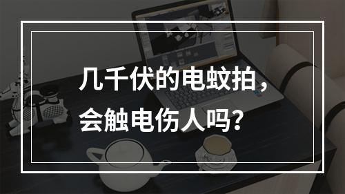 几千伏的电蚊拍，会触电伤人吗？