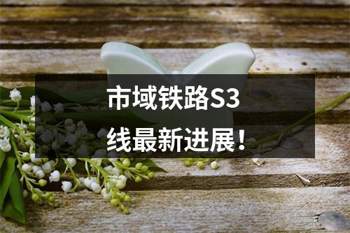 市域铁路S3线最新进展！